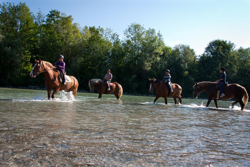 Lamprechthof Farm stay