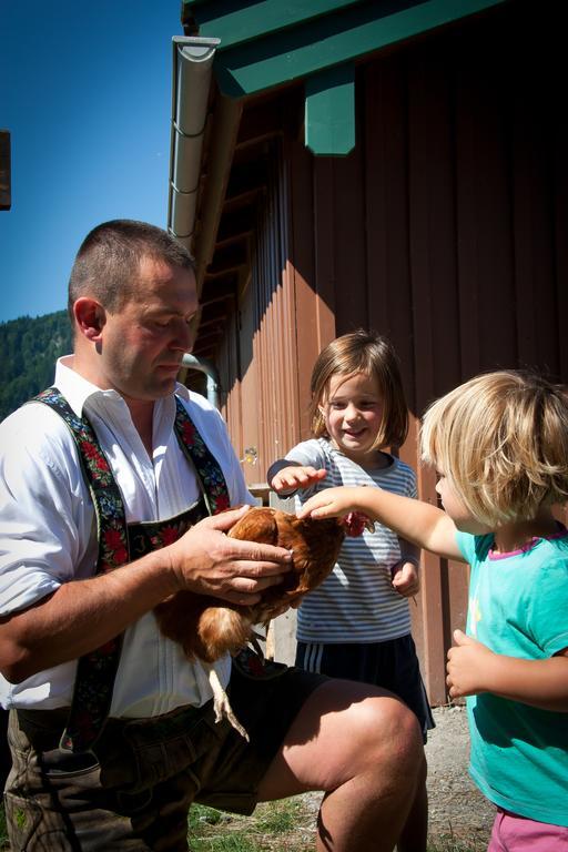 Lamprechthof Farm stay *